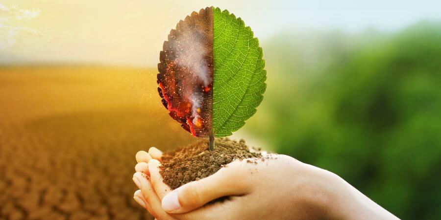 Çevre Kirliliğine Karşı Bireysel ve Toplumsal Sorumluluklar